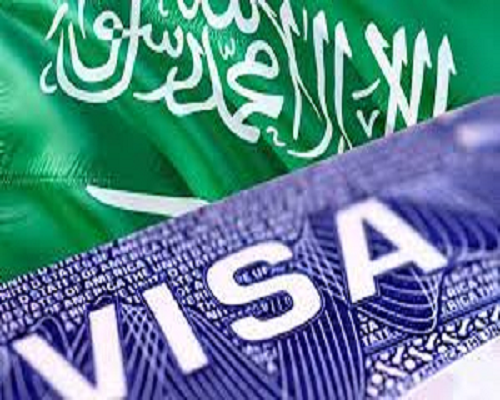 ویزای آنلاین    Visa Online   